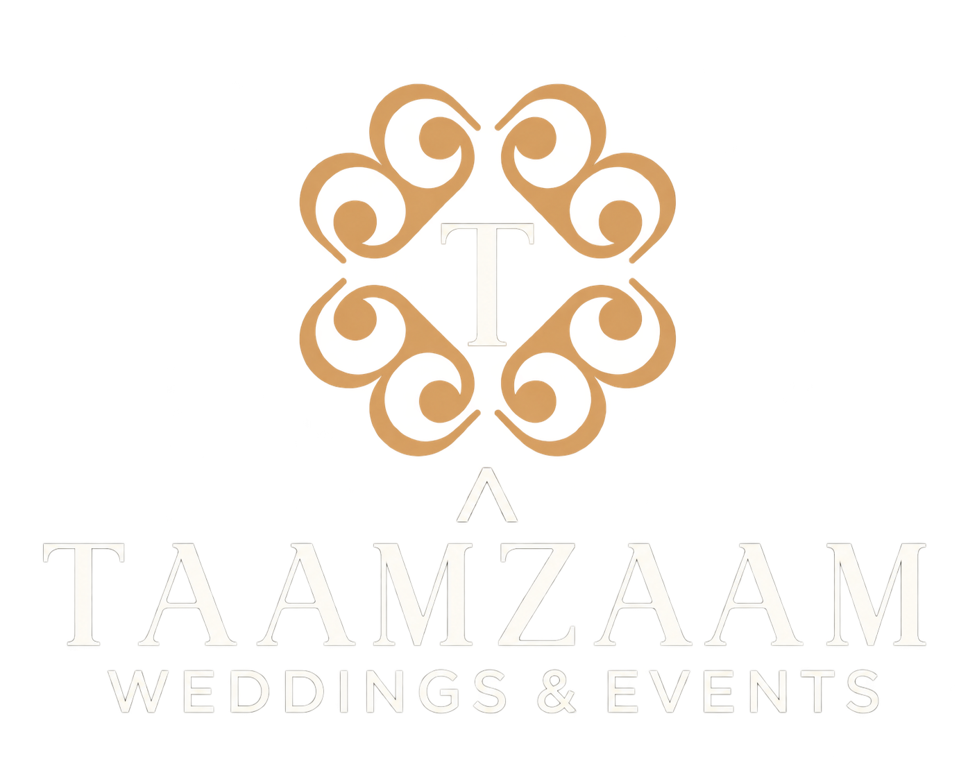 Taamzaam logo